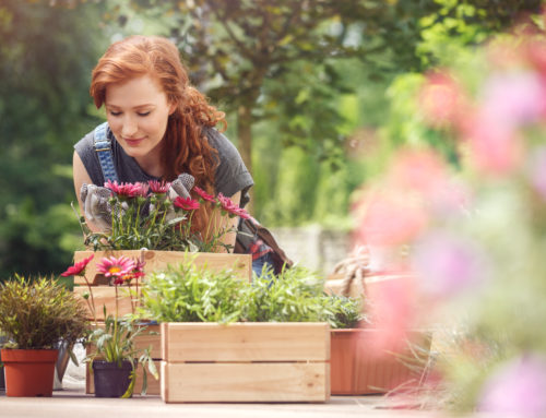 Is Back Pain Getting In The Way Of Your Gardening?