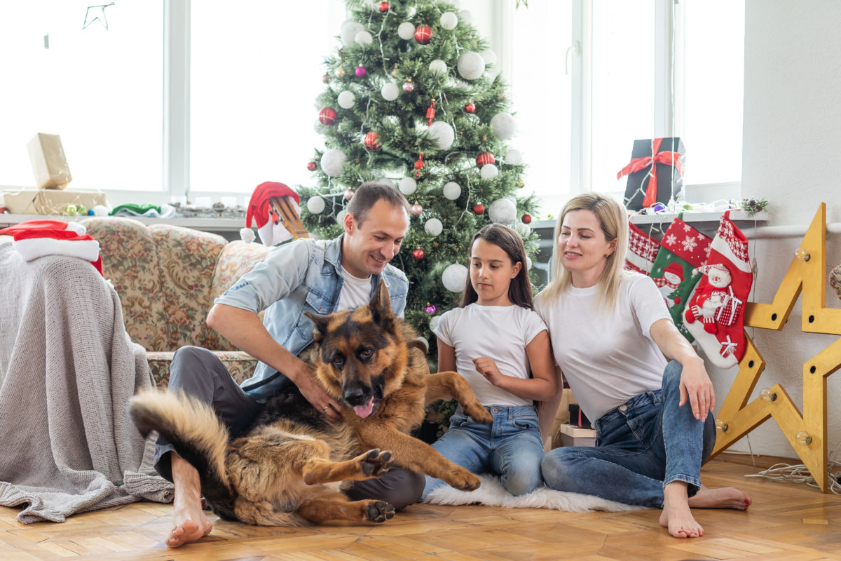Friendly family is playing with dog near Christmas tree. They are sitting and laughing