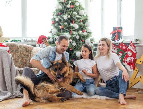 Start the New Year Off Right: Tips and Tricks to Avoid Holiday Weight Gain.